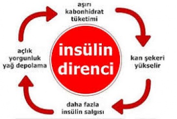 İNSÜLİN DİRENCİ NEDEN OLUR?