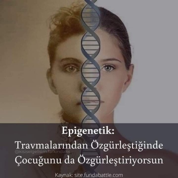 Epigenetik